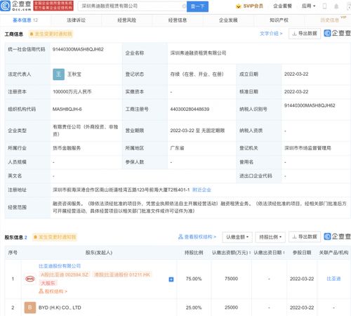 比亞迪成立融資租賃公司 企查查顯示注冊資本10億元