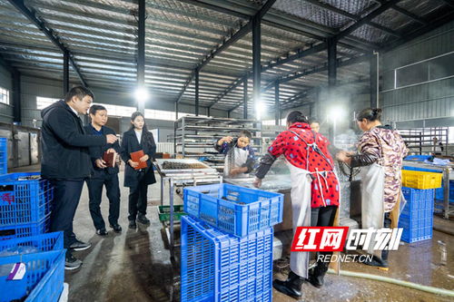 融擔 湘軍 成長記丨引金融 活水 助小微闖新路